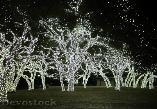 Devostock Christmas Lights Texas Chritmas 4K