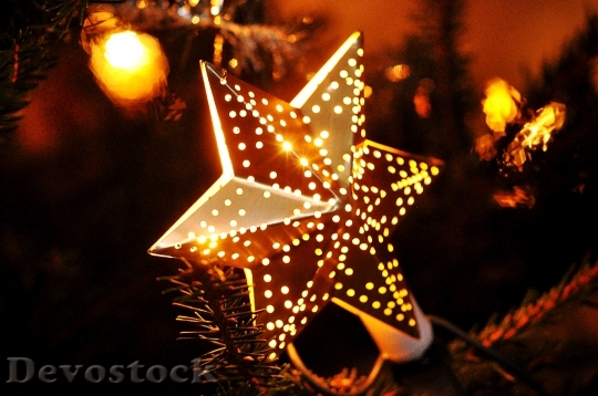 Devostock Christmas Star Winter Fmily 4K