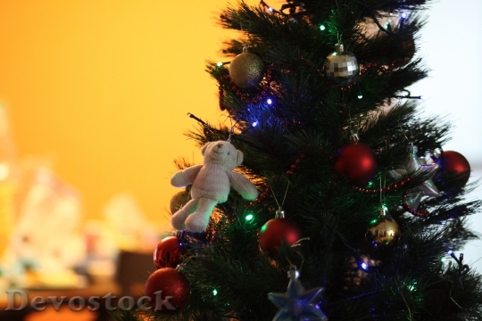 Devostock Christmas Tree Bear 17448 4K