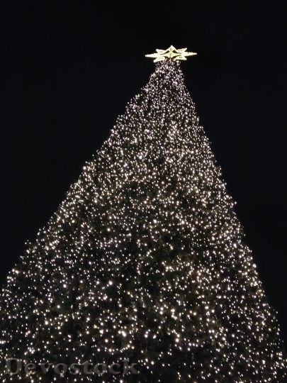 Devostock Christmas Tree Berlin Decortive 4K