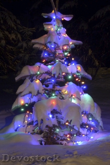 Devostock Christmas Tree Blue Sruce 4K