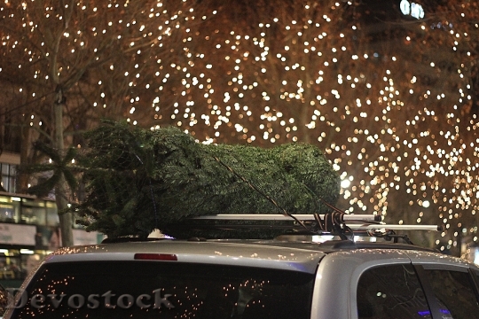 Devostock Christmas Tree Car Sreet 4K