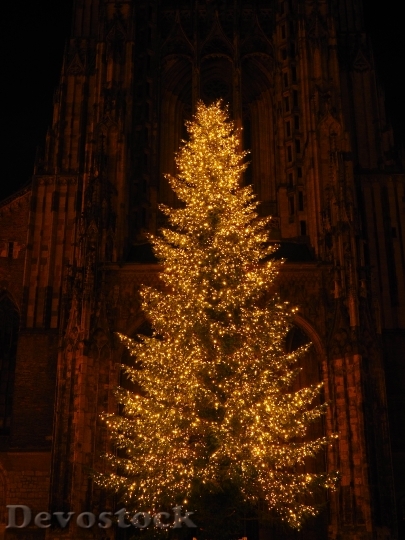 Devostock Christmas Tree Christas M 4K