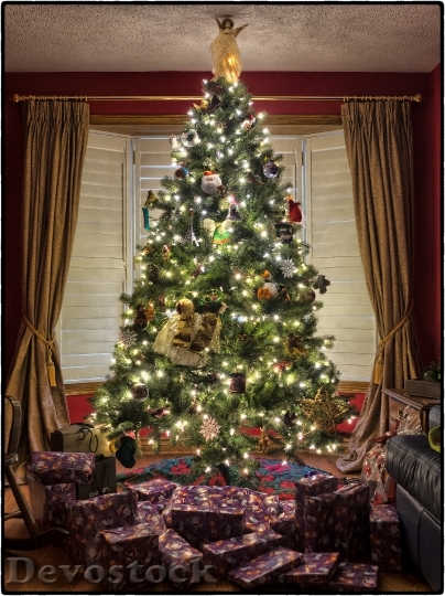 Devostock Christmas Tree Christmas Tee 6 4K