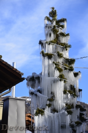 Devostock Christmas Tree Ice 74673 4K