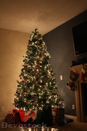 Devostock Christmas Tree Magical Hoiday 4K