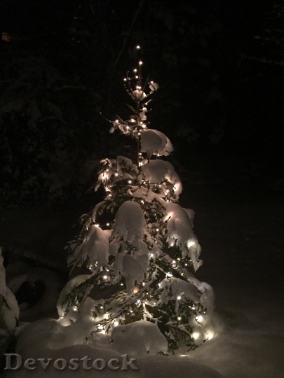 Devostock Christmas Tree Snow Illumiated 4K