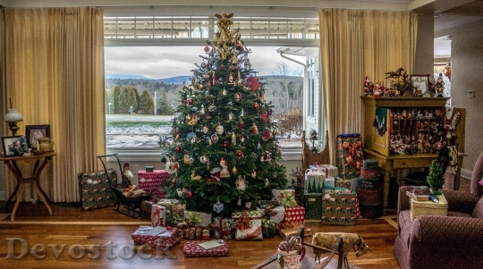 Devostock Christmas Tree Traditional ecor 4K