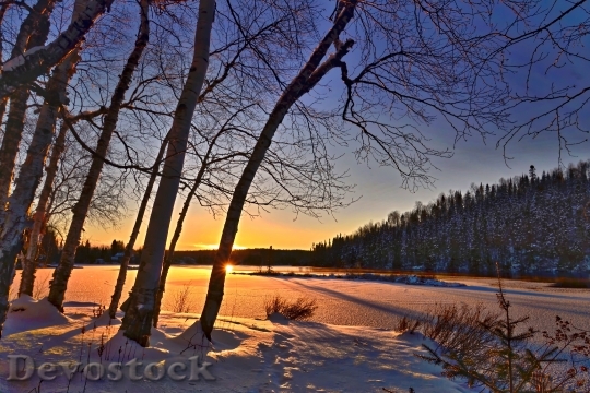 Devostock Cold Snow Landscape 25903 4K