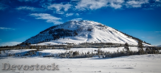 Devostock Cold Snow Landscape 26775 4K