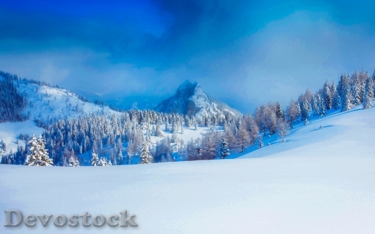 Devostock Cold Snow Landscape 32657 4K