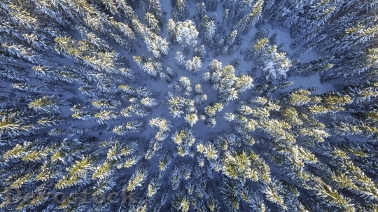 Devostock Cold Snow Landscape 34319 4K