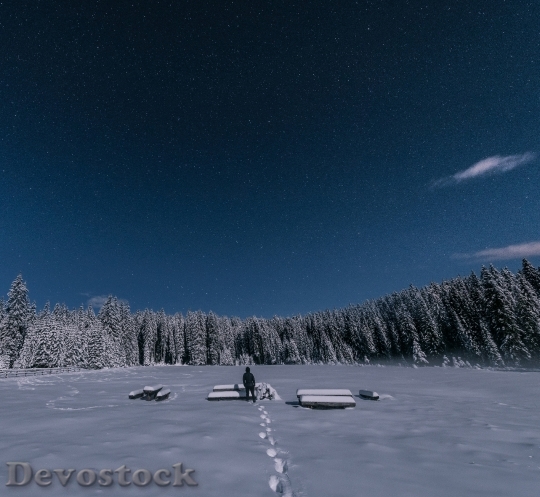 Devostock Cold Snow Landscape 55286 4K