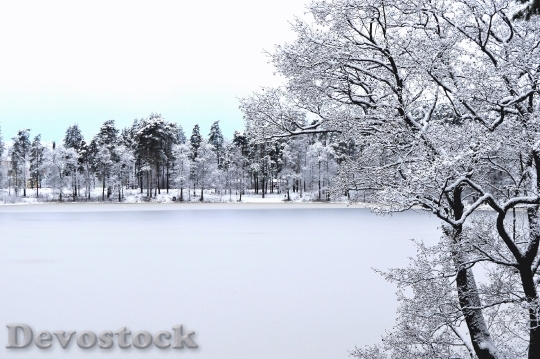 Devostock Cold Snow Landscape 75101 4K