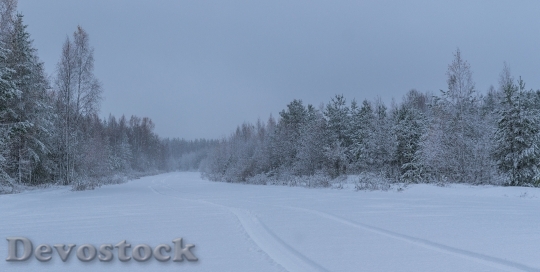 Devostock Cold Snow Landscape 75461 4K