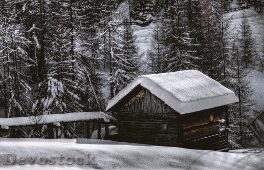 Devostock Cold Snow Landscape 77256 4K