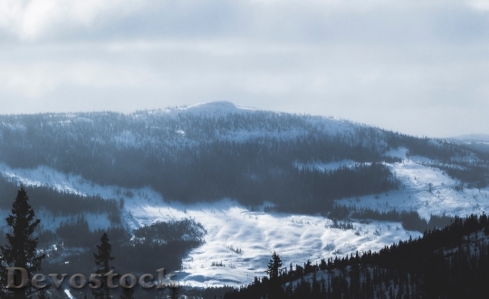 Devostock Cold Snow Landscape 94806 4K