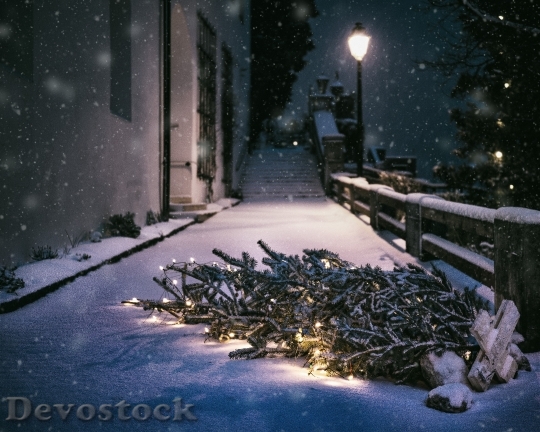 Devostock Cold Snow Light 31954 4K