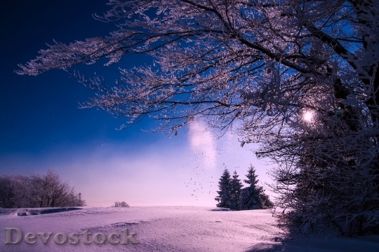 Devostock Cold Snow Light 32681 4K