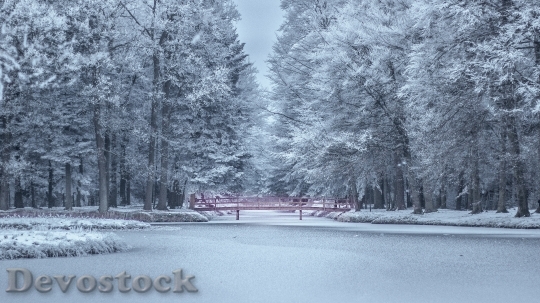 Devostock Cold Snow Road 30984 4K