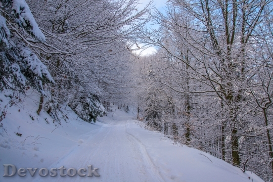 Devostock Cold Snow Road 9584 4K