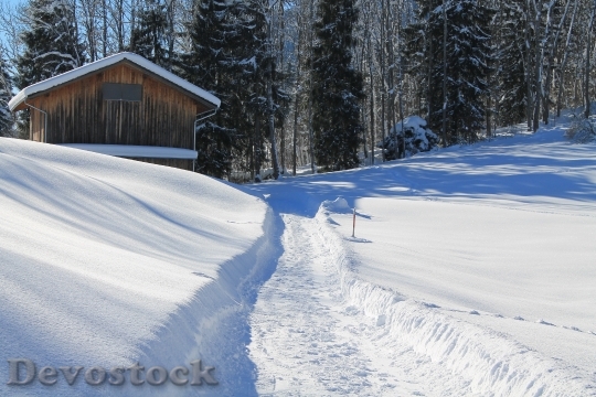 Devostock Cold Snow Wood 26706 4K