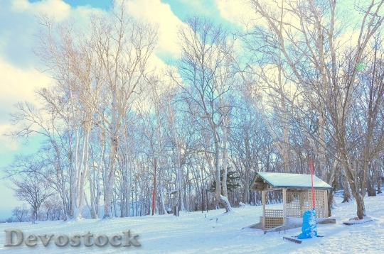 Devostock Cold Snow Wood 70676 4K