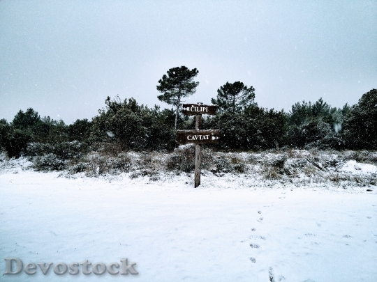 Devostock Cold Snow Wood 97533 4K