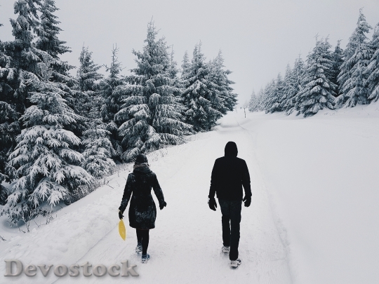 Devostock Cold Snow Wood Couples Man Girl 4K