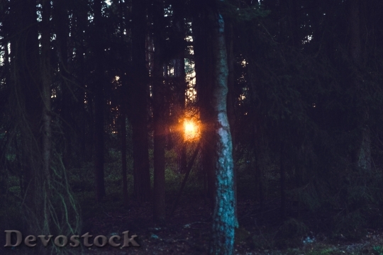 Devostock Dawn Nature Sunset 17511 4K