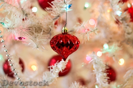 Devostock Decoration Christmas Bright 50309 4K