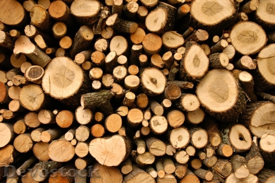 Devostock Firewood Bark Outdoors 62938 4K