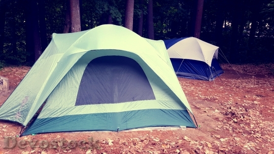 Devostock Forest Outdoors Camping 11162 4K