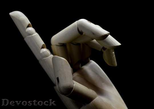 Devostock Hand Finger Indicate The Wood 1769 4K.jpeg