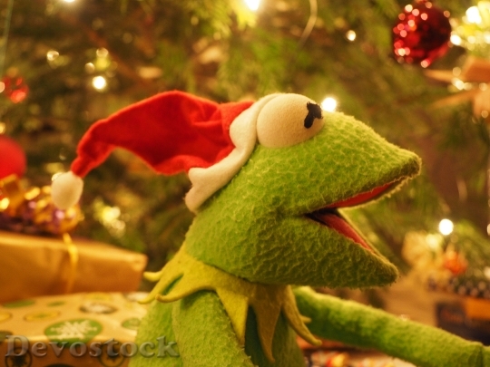 Devostock Kermit Frog Christmas Fog 0 4K