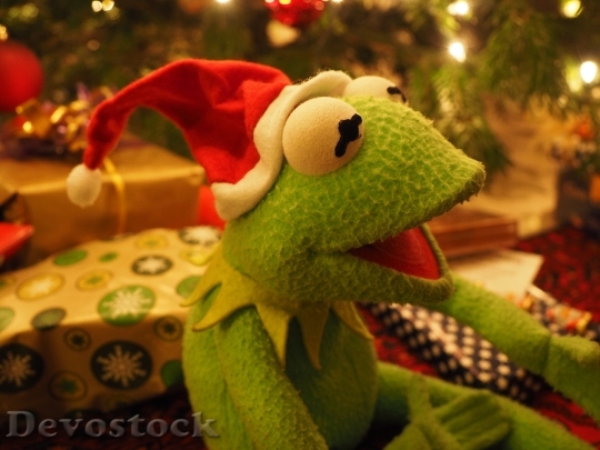Devostock Kermit Frog ChristmasFrog 4K