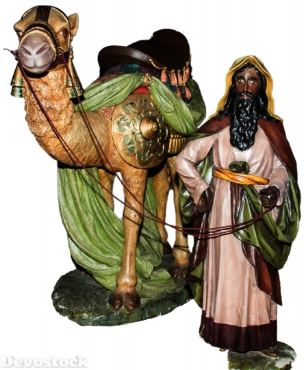 Devostock King Camel Holy hree 4K