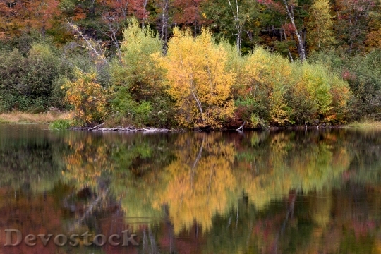 Devostock Landscape Nature Water 20465 4K