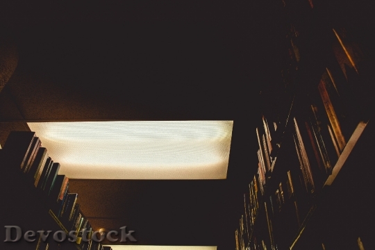Devostock Light Dark Books 117153 4K