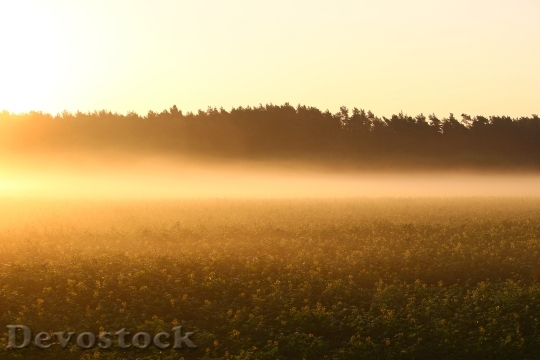 Devostock Light Dawn Landscape 06920 4K