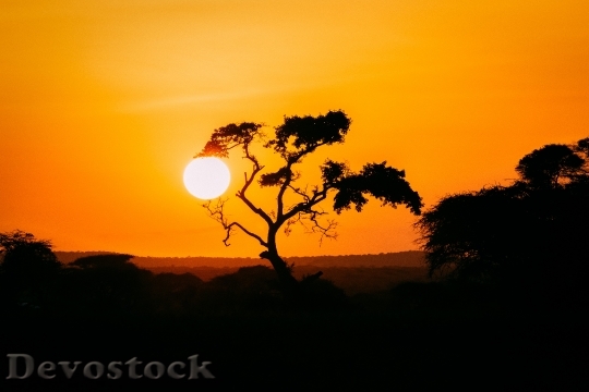 Devostock Light Dawn Landscape 102311 4K