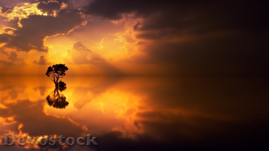 Devostock Light Dawn Landscape 133502 4K