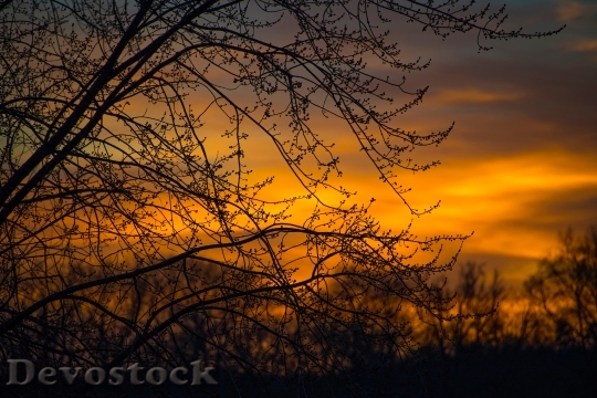 Devostock Light Dawn Landscape 14043 4K