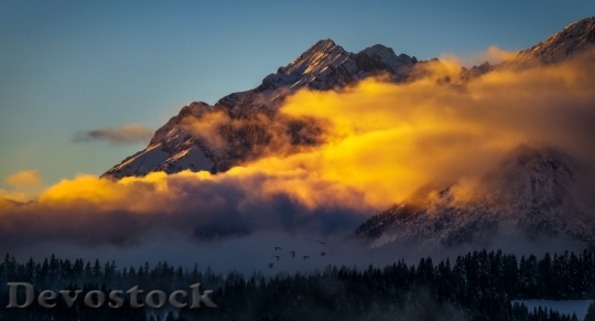 Devostock Light Dawn Landscape 14369 4K