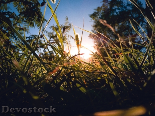 Devostock Light Dawn Landscape 158713 4K