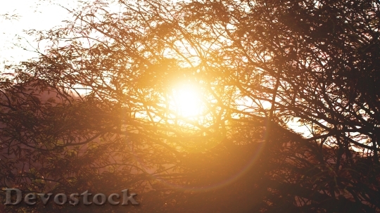 Devostock Light Dawn Landscape 182382 4K