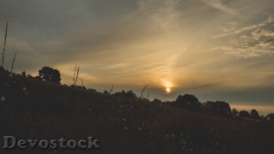 Devostock Light Dawn Landscape 18455 4K