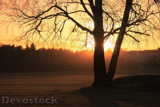 Devostock Light Dawn Landscape 23084 4K