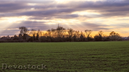 Devostock Light Dawn Landscape 23203 4K