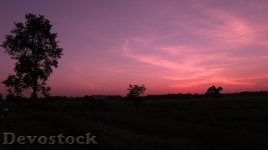 Devostock Light Dawn Landscape 26472 4K